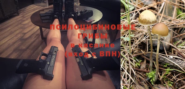 гидропоника Ахтубинск